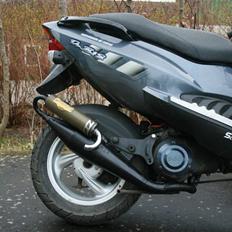 PGO Dr. Big - Malossi MHR