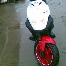 PGO pmx sport no fear