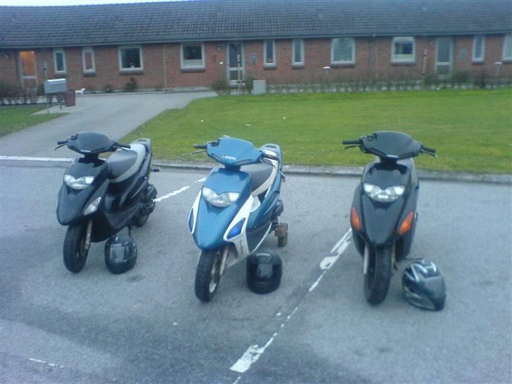 Honda SFX [ SOLGT ] billede 17