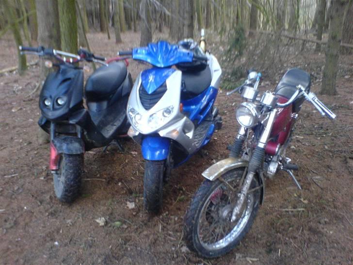 Peugeot Speedfight 2 - Kæp, sovs og hårs knallerter. HELL YEA! : D billede 5