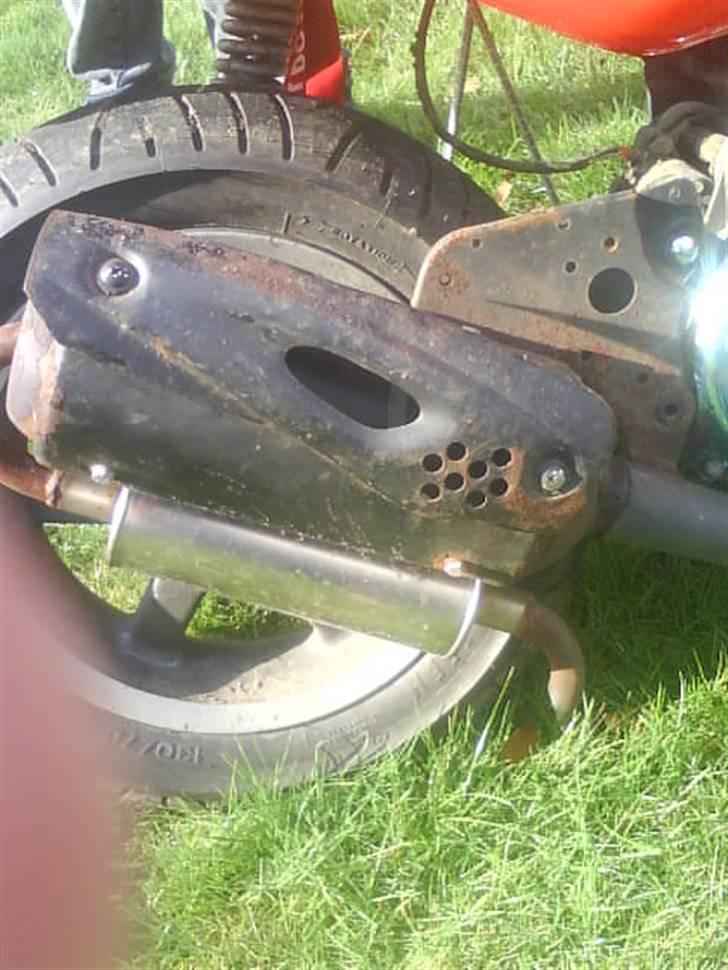 CPI hussar  "Lowrider* billede 5