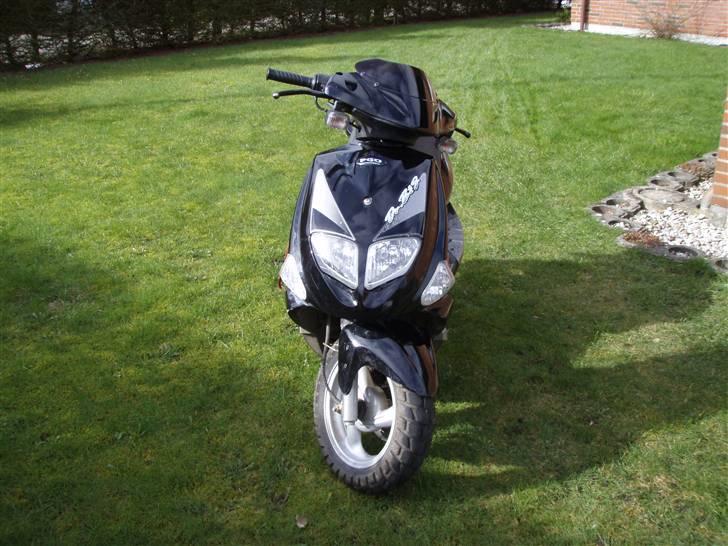 PGO dr.big solgt billede 2