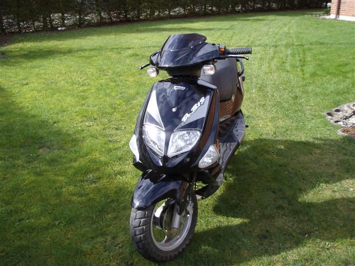 PGO dr.big solgt billede 3