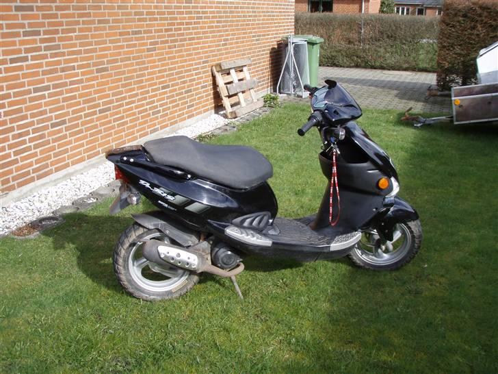 PGO dr.big solgt billede 4