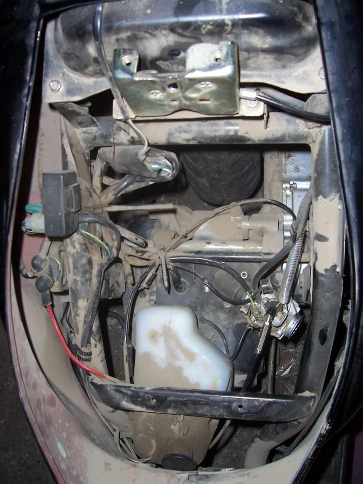 CPI Popcorn *Poppe* adskildt billede 11