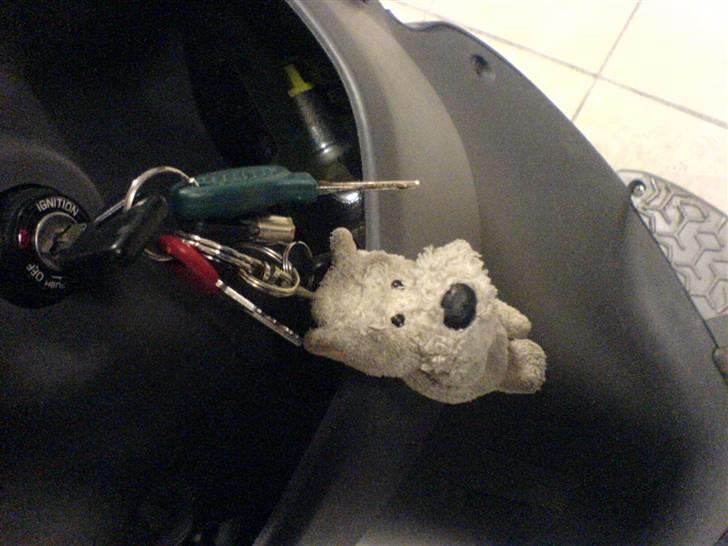 PGO Dr. big billede 11