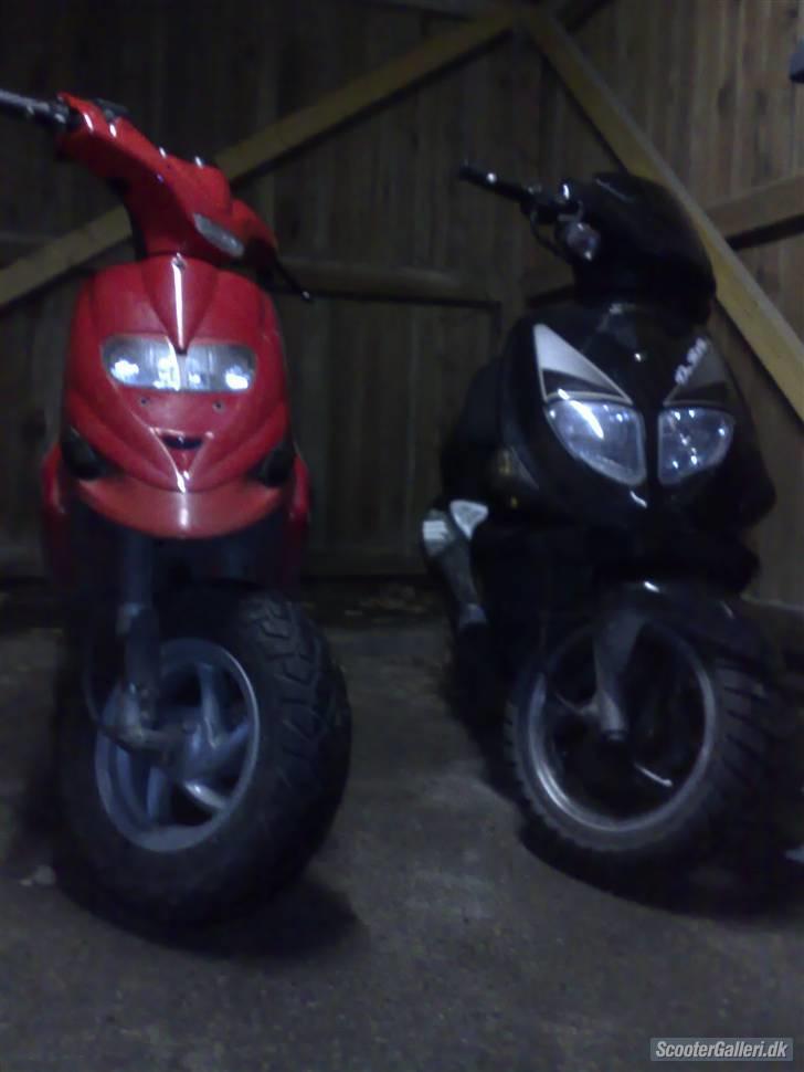 PGO DR.BIG Night Rider solgt - Fidaim I´s staldmis i stalden og min big... det altid rart (0; billede 8