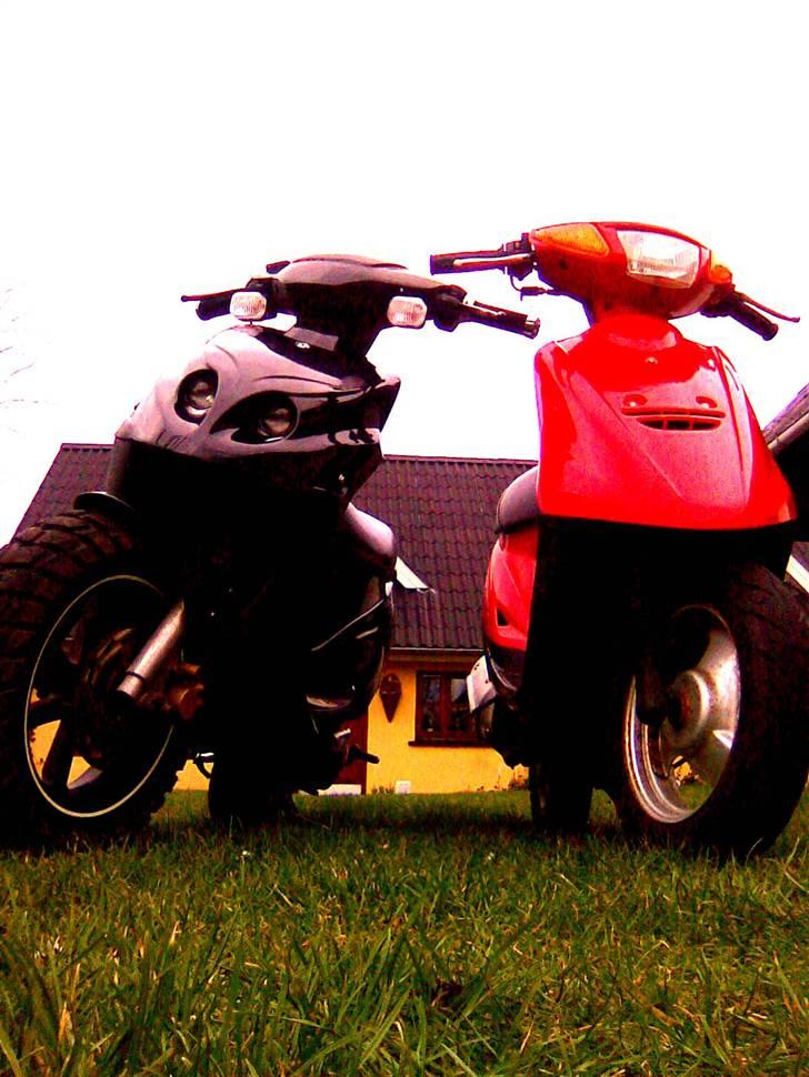 PGO HOT 50 • ~~ SOLGT ~~ • billede 11