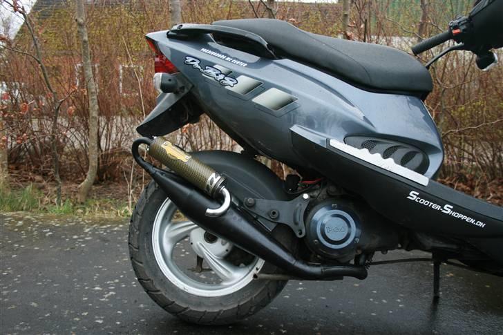 PGO Dr. Big - Malossi MHR billede 3