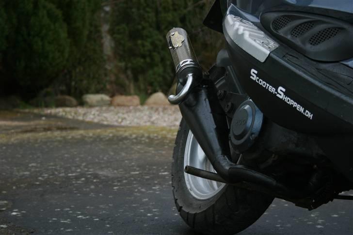 PGO Dr. Big - Malossi MHR billede 5