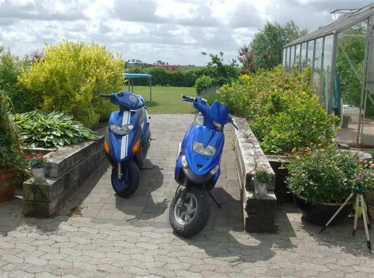 Gilera Stalker Solgt billede 7