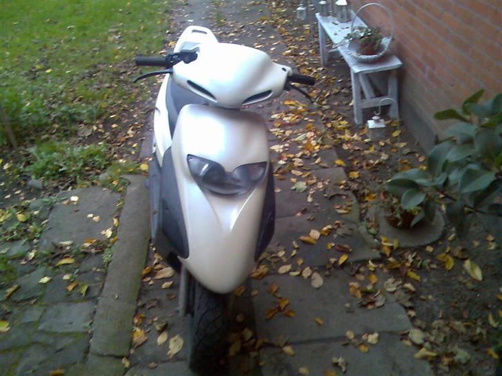 Honda sfx......solgt billede 2