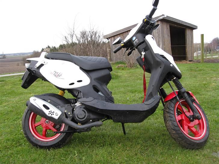 PGO pmx sport no fear billede 1