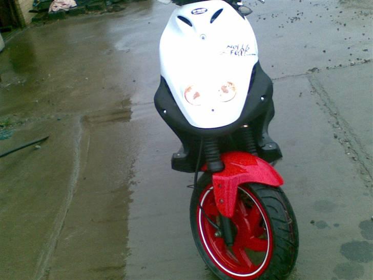 PGO pmx sport no fear billede 2