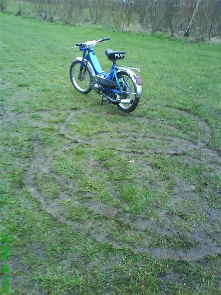 Puch maxi k billede 2