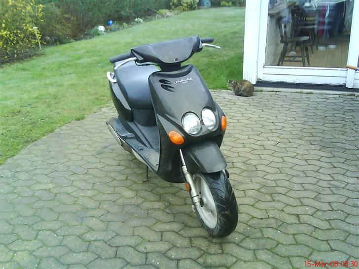 Yamaha Neo's (nicoline) billede 1
