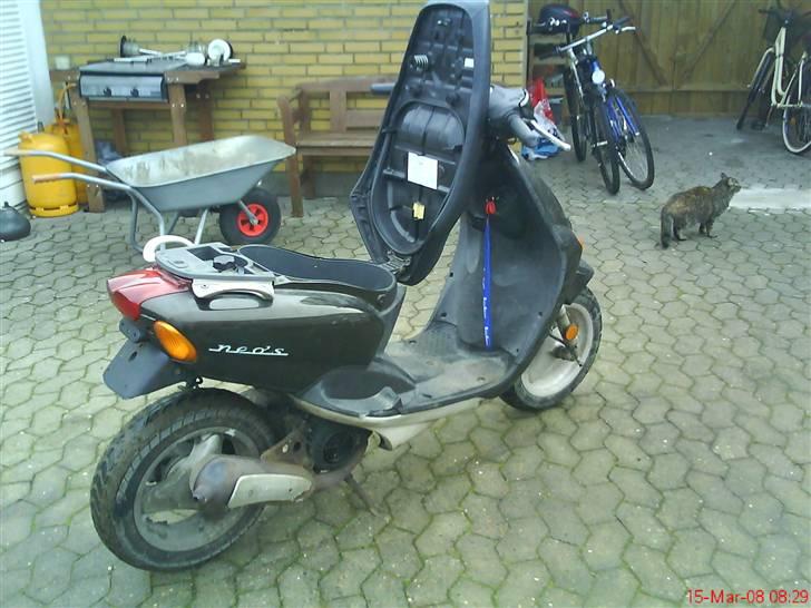 Yamaha Neo's (nicoline) billede 4