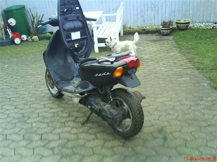 Yamaha Neo's (nicoline) billede 5