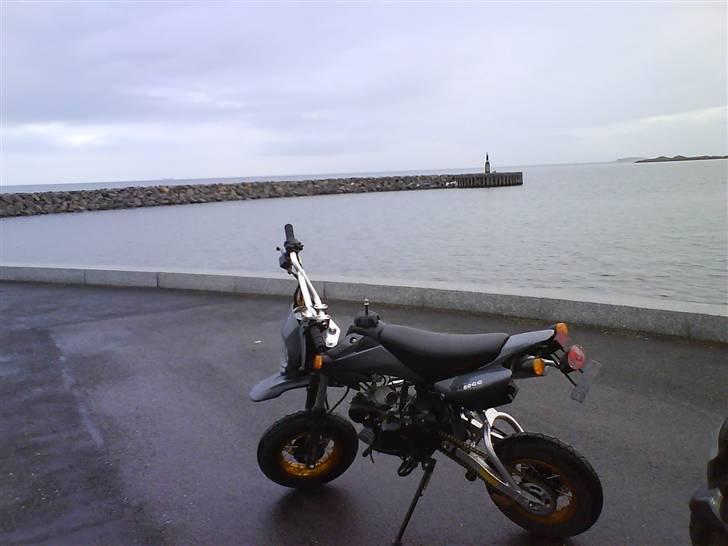 Shineray Motard Solgt billede 1