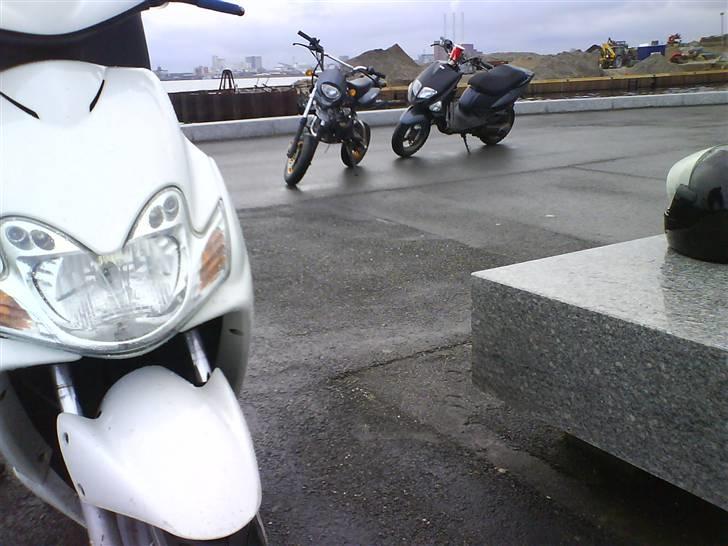 Shineray Motard Solgt billede 2