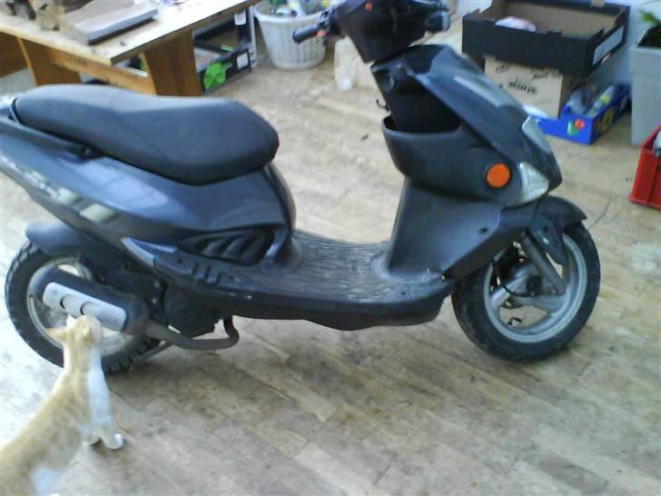 PGO dr. big solgt billede 7