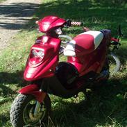 PGO Hot 50 "Projekt 2008" 