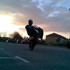 Suzuki Street Magic *Solgt*