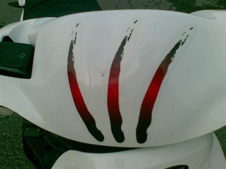 PGO pmx sport no fear billede 6