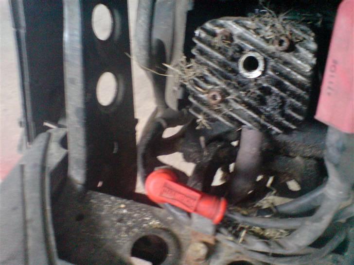 Piaggio Typhoon *Tøffe* "Solgt" billede 9