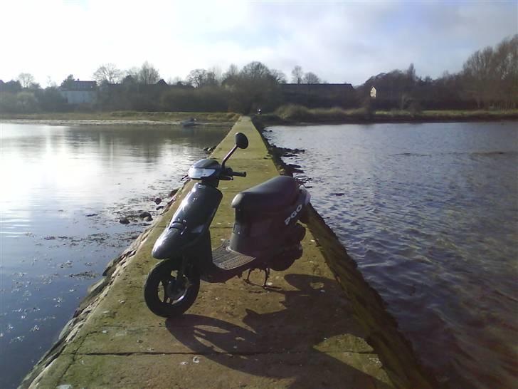 PGO comet bytte til sonic  billede 8