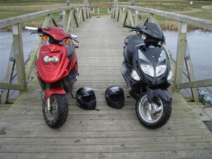 PGO dr.big solgt billede 6