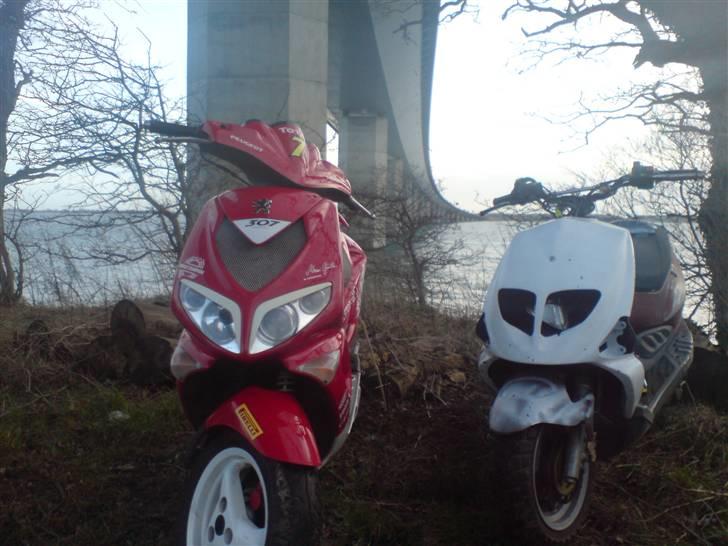 Peugeot speedfight 307 *solgt*  billede 10