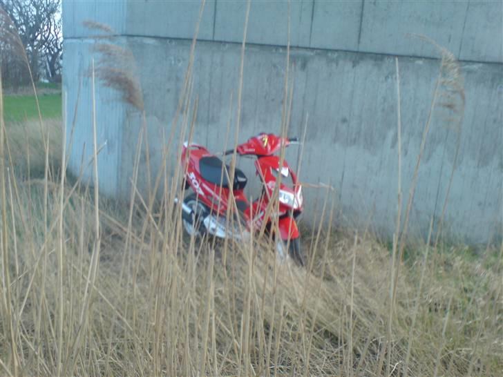 Peugeot speedfight 307 *solgt*  billede 13