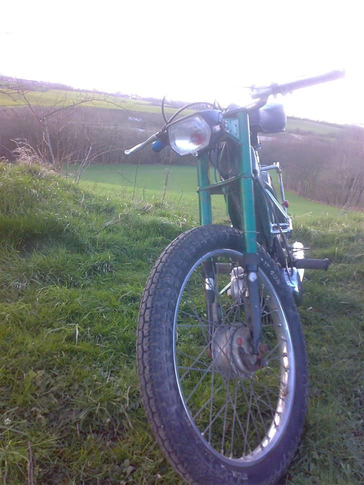 Puch =vilddyret= - nyt billlede 17/03/08  :) billede 7