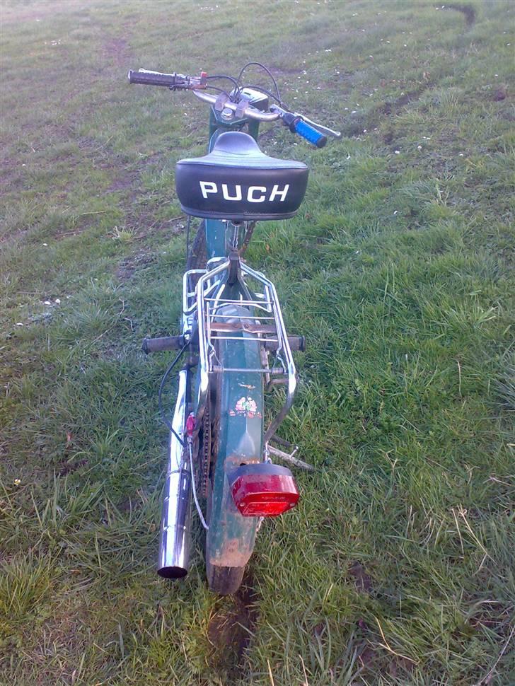 Puch =vilddyret= - nyt billlede 17/03/08  :) billede 9