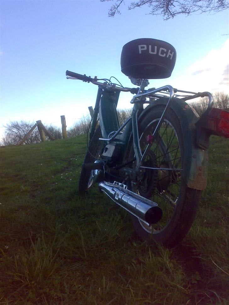 Puch =vilddyret= - nyt billlede 17/03/08  :) billede 10