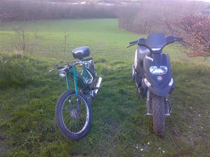 Puch =vilddyret= - nyt billlede 17/03/08  :) billede 11