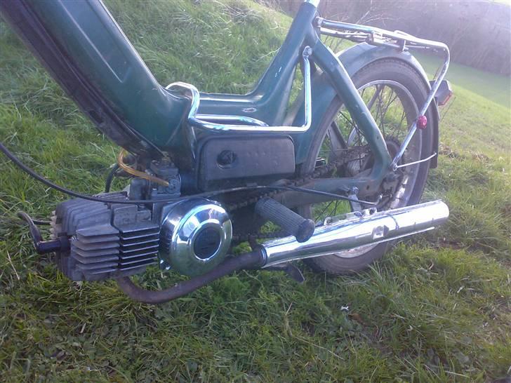 Puch =vilddyret= - nyt billlede 17/03/08  :) billede 12