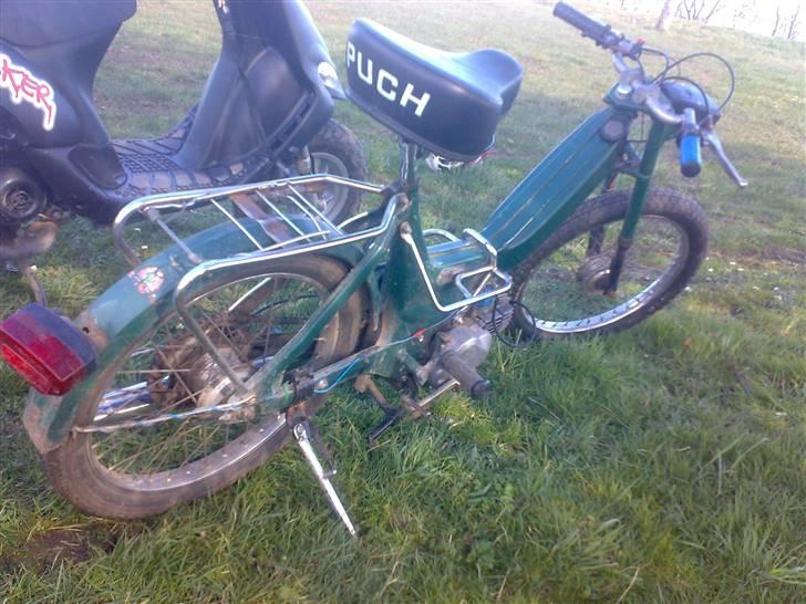 Puch =vilddyret= - nyt billlede 17/03/08  :) billede 14