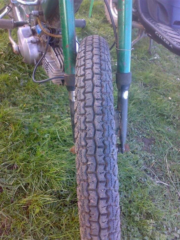 Puch =vilddyret= - nyt billlede 17/03/08  :) billede 15