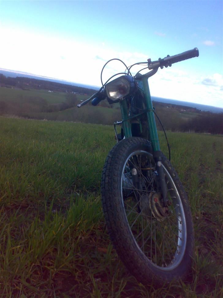 Puch =vilddyret= - nyt billlede 17/03/08  :) billede 17