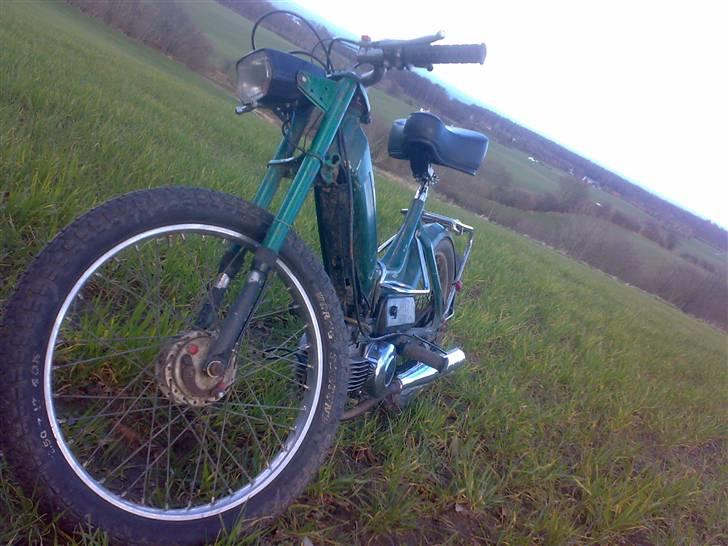 Puch =vilddyret= - nyt billlede 17/03/08  :) billede 18