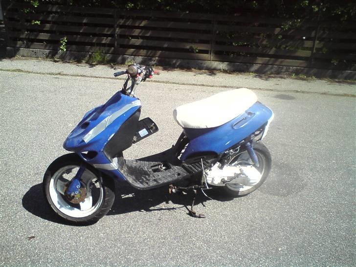 Adly Silverfox SOLGT! billede 2