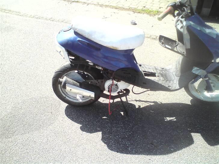 Adly Silverfox SOLGT! billede 3