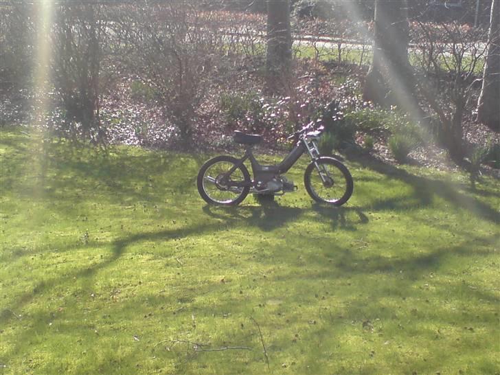 Puch Maxi ATHENA - NYT....Som den står billede 7