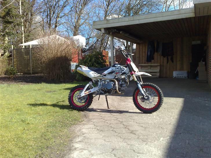 MiniBike ( pit bike bud :) solgt billede 5