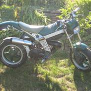 Suzuki Street magic (byttet)