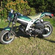 Suzuki Street magic (byttet)