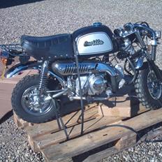 Skyteam gorilla 'vinter hi'