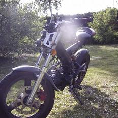 Sachs Madass (remtræk) byttet